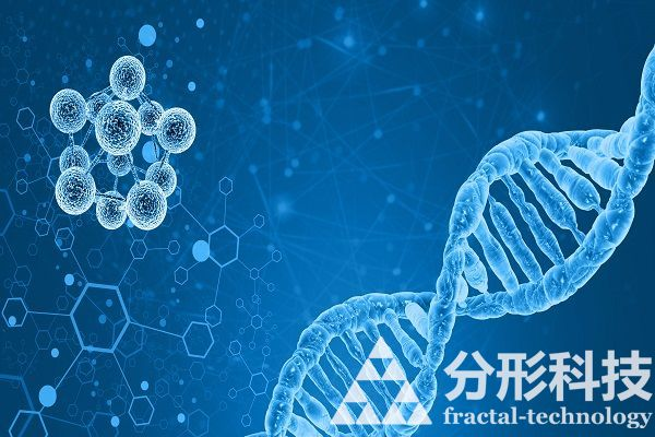 醫(yī)院網(wǎng)站建設(shè)：從形象窗口到服務(wù)入口的5個策略
